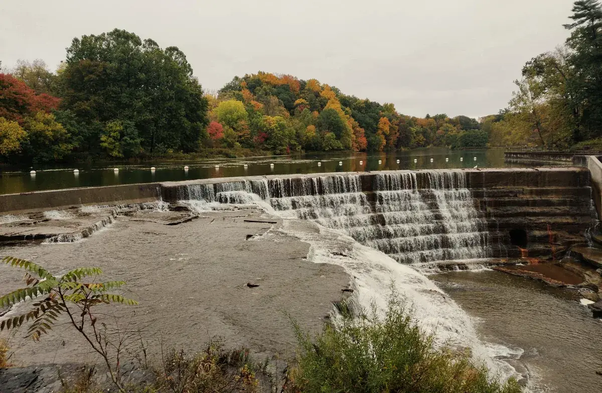 A waterfall on Fall Creek in Ithaca, New York, framed by autumn trees.